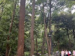 -灵隐飞来峰景区
