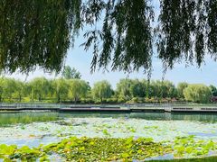 -北龙湖湿地公园