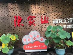 -陈家山荷花公园