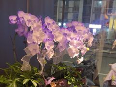 -上名堂·鱼头好吃(体育场路店)