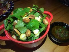 罗马生菜沙拉-TEQO·Mexican food & Bar