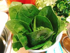 -青瓷火锅料理(西单大悦城店)