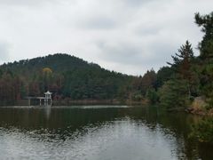 -四明山国家森林公园