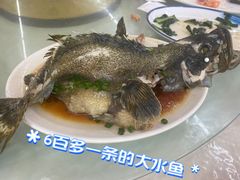 -红月湾海鲜饭店•沙滩海景(双月湾店)