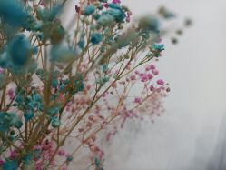 -凡碧诗毛孔收细