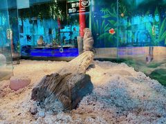 -昆明大悦城未来动物城(螺蛳湾中心店)