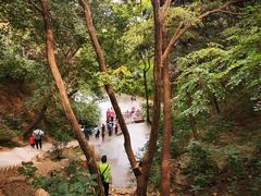 -北京西山国家森林公园