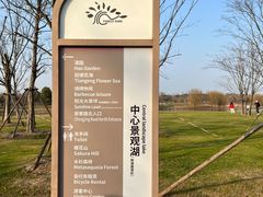 -上海滨江森林公园