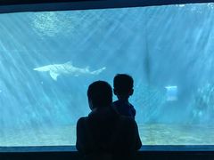 -北戴河圣蓝海洋公园