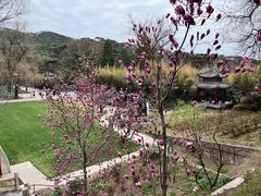 -红螺寺
