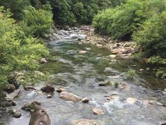 -石台牯牛降景区