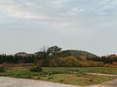 -汉景帝阳陵博物院