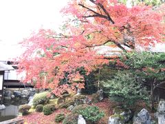 -醍醐寺