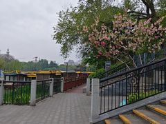 -南通濠河风景名胜区