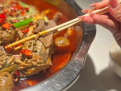 -宽口美蛙鱼头(大唐西市店)