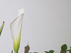 -杭州平安悦坊 PAFC LIVING