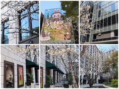 -杭州城中香格里拉大酒店