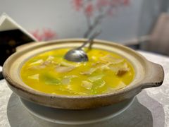 -丁老爷子苏香圆