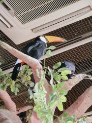 -Zoolung Zoolung动物主题公园(海信广场店)