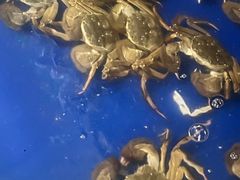 -阳澄湖大闸蟹·琼灵阁牌品牌连锁(吴中总店)