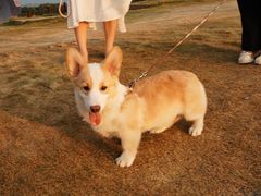 -飞天山旅游区