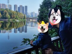 -重庆彩云湖湿地公园