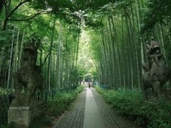 -云栖竹径