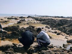 -巧克力渔家.小船海鲜胶东菜(万平口店)