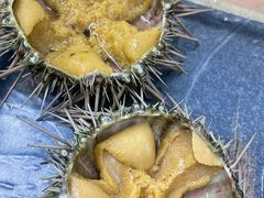 -海胆小馆(东北水饺·春柳店)