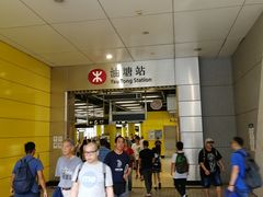 -黄家驹墓