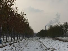 -南开大学滨海学院