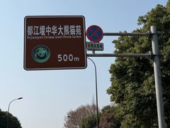 -都江堰中华大熊猫苑