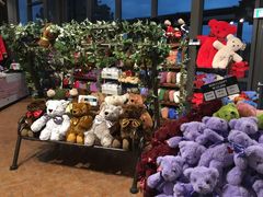 卖场-济州岛泰迪熊博物馆