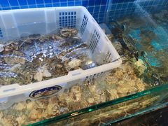 -罗马假日海鲜自助餐厅(星湖广场店)