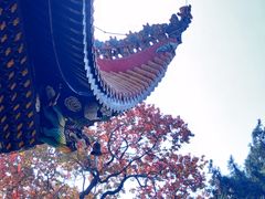 -南岳衡山风景名胜区-南岳大庙