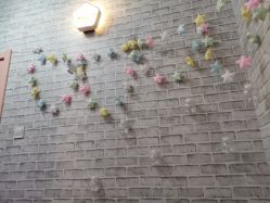 -doladola(徐家汇店)