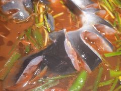 -亮欢寨快活林 酸汤鱼(仁怀店)