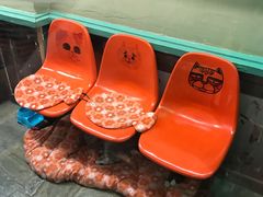 -猫咪博物馆(顶澳仔猫街店)