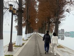 -东湖落雁景区
