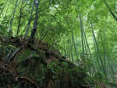 -藏龙百瀑风景区