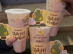 柠檬奶-猫的魔法密林(衣裳街店)