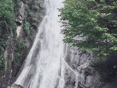 -天下玉苑
