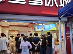 -蜜雪冰城(托乐嘉店)