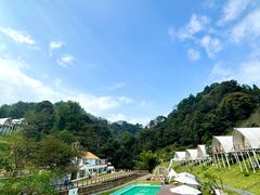 -江西阳明山国家森林公园