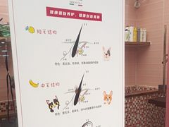 -FAELING PETS美天灵宠物(合生汇店)