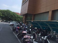 -泳远游泳培训俱乐部(东方体育中心店)
