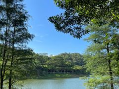 -番禺大夫山森林公园