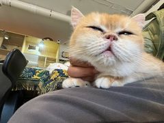 -平行世界·猫咖(首经贸店)
