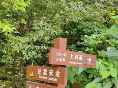 -雁荡山三折瀑景区