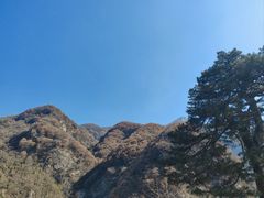 -秦岭终南山世界地质公园翠华山景区